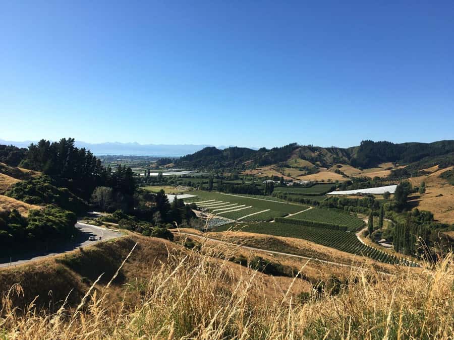 Nelson: Golden Bay in a Day Tour - The Grove Reserve and the quiet finish