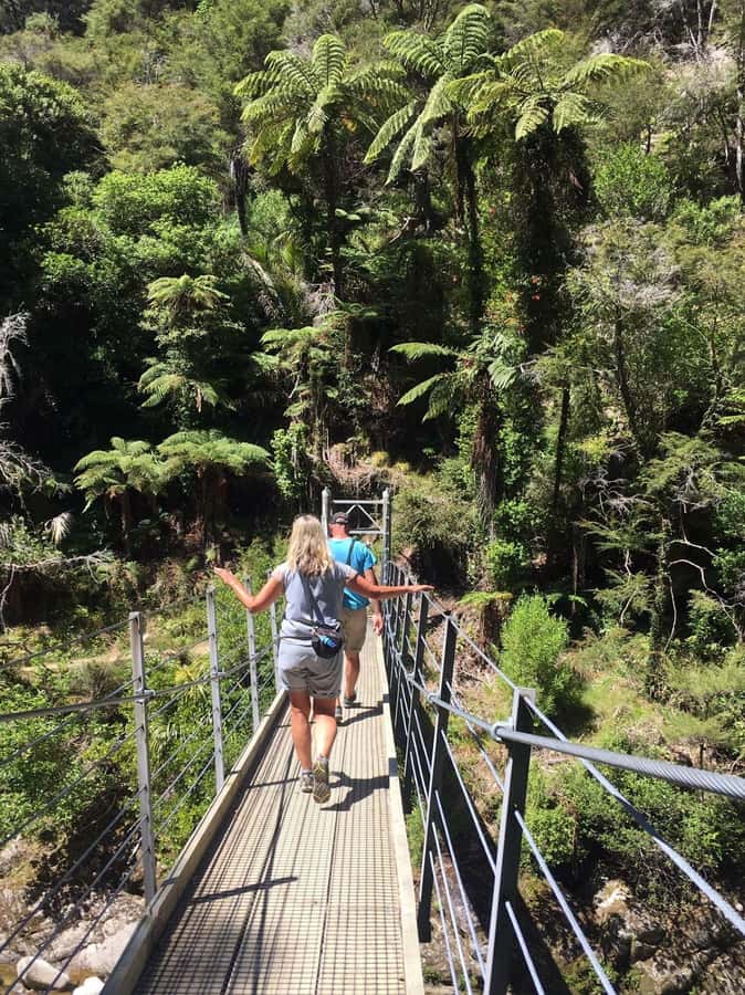 Nelson: Golden Bay in a Day Tour - What the $256 price includes