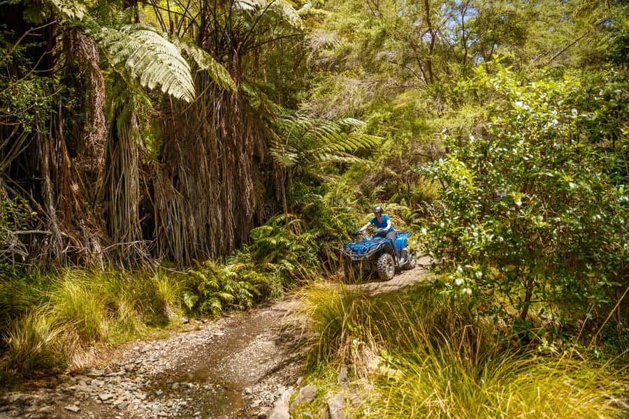 Nelson: Guided Quad Biking Tour Through Forest and Farmland - Bayview lookout and the Cable Bay views