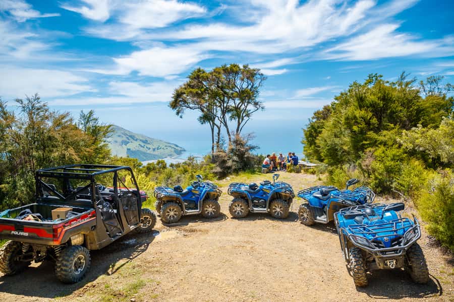 Nelson: Guided Quad Biking Tour Through Forest and Farmland - Guides who teach as well as lead