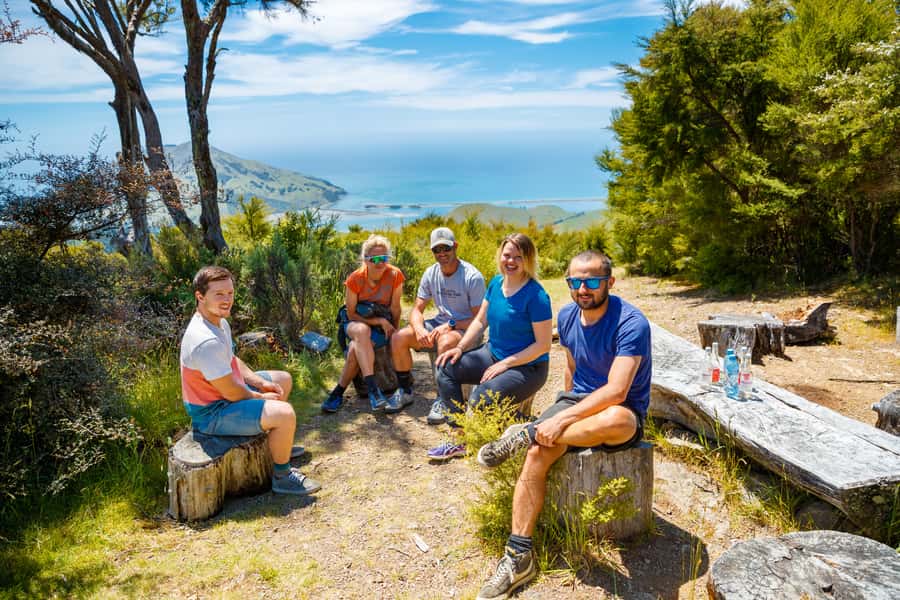Nelson: Guided Quad Biking Tour Through Forest and Farmland - Quad-bike quality and the real value of $80