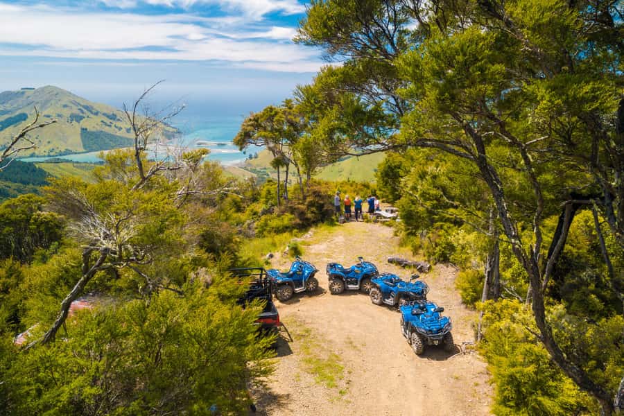 Nelson: Guided Quad Biking Tour Through Forest and Farmland - Choosing between the 90-minute ride and the 2.5-hour circuit