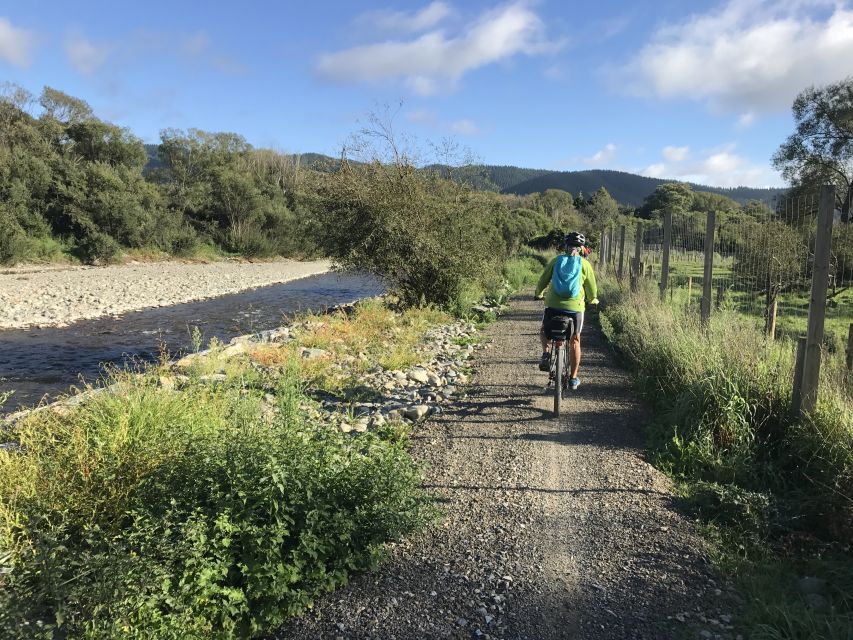 Nelson: Self-Guided Tunnel to Town Cycling Tour via Mapua - Key points to know before booking