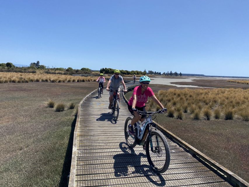 Nelson: Self-Guided Tunnel to Town Cycling Tour via Mapua - Lunch at Grape Escape Café