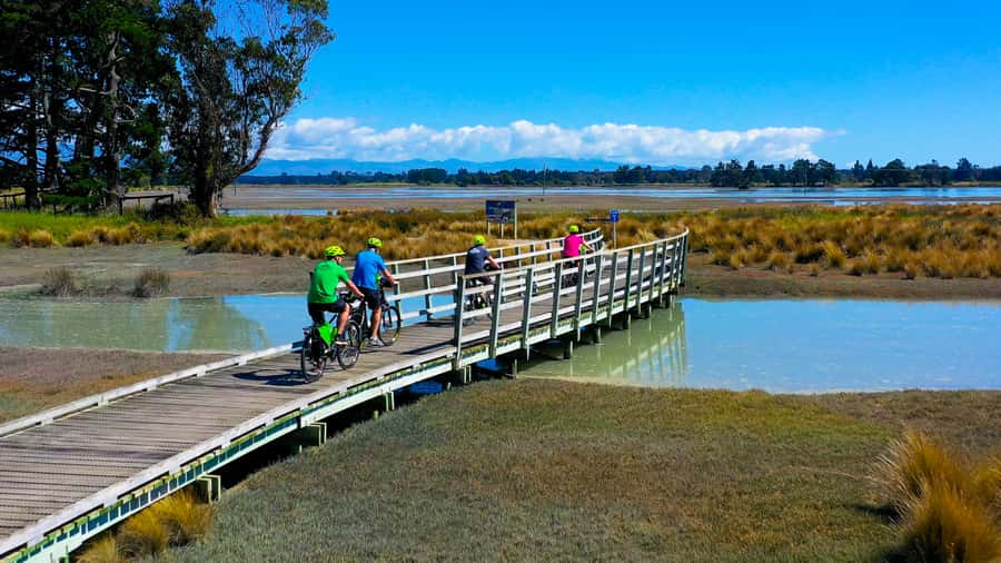 Nelson to Mapua: Full-Day Cycling Self-Guided Adventure - The Waimea Estuary brings the best views