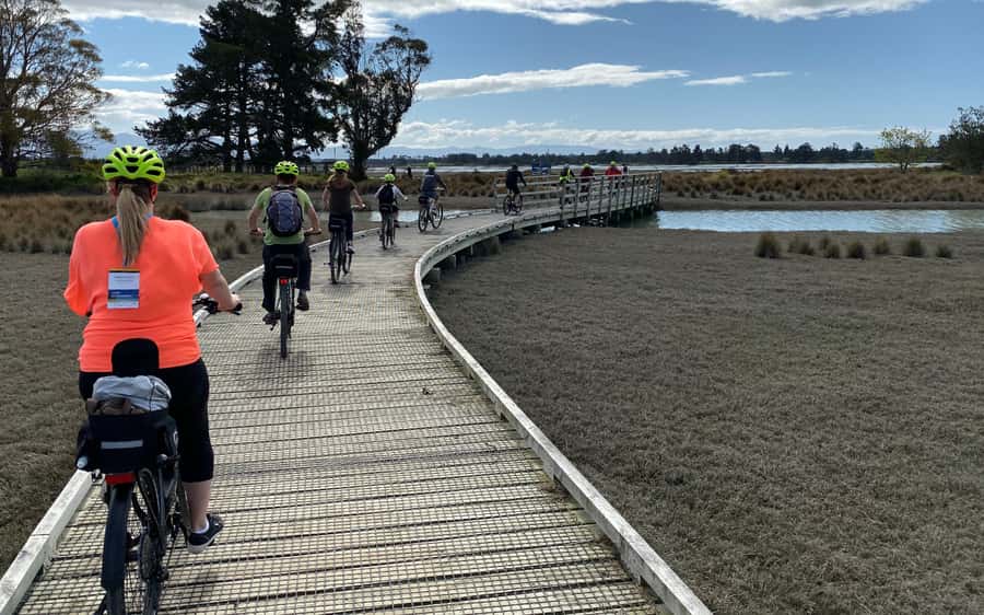 Nelson to Mapua: Full-Day Cycling Self-Guided Adventure - Rabbit Island offers a proper rest stop