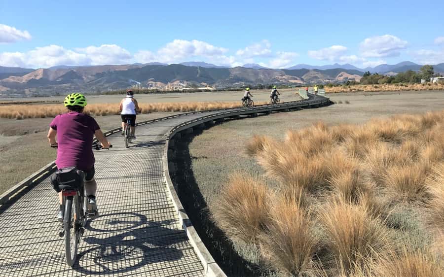 Nelson to Mapua: Full-Day Cycling Self-Guided Adventure - Crossing to Mapua by ferry