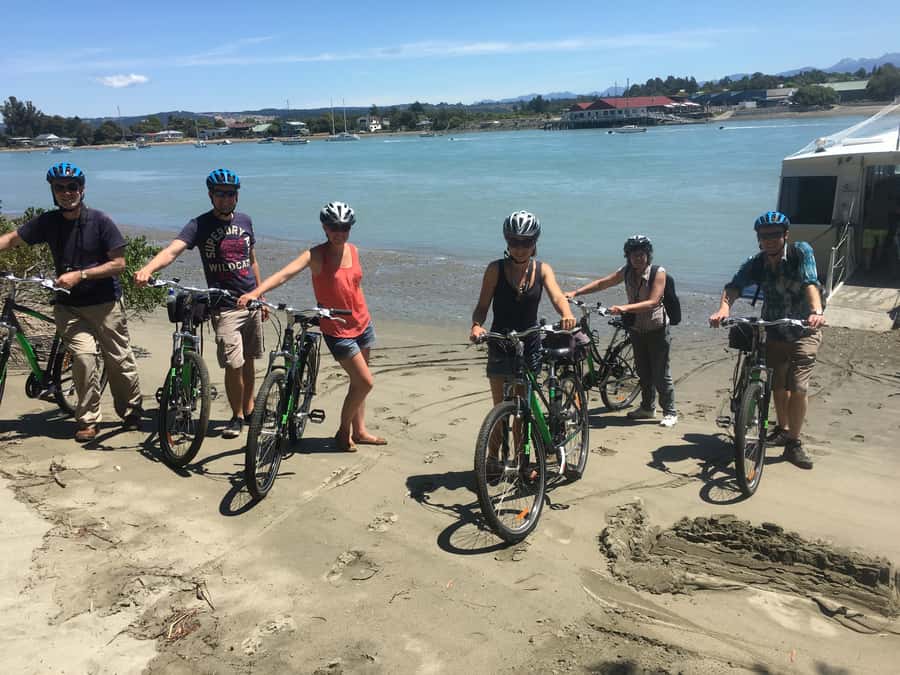 Nelson to Mapua: Full-Day Cycling Self-Guided Adventure - Who should book this ride?