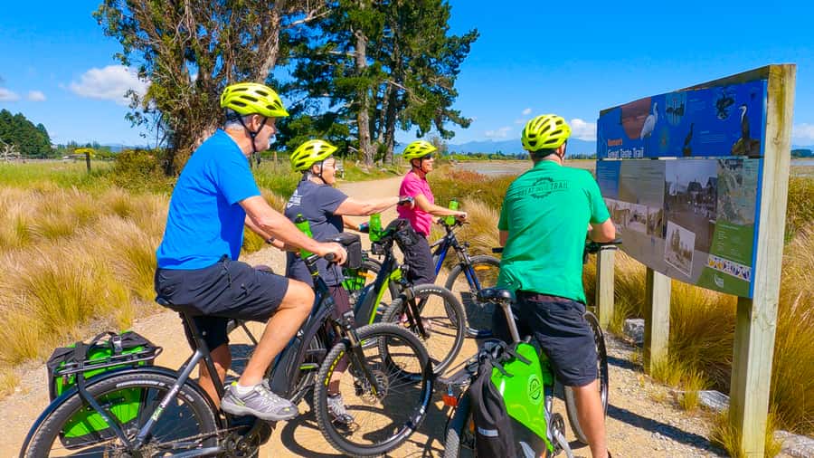 Nelson to Mapua: Full-Day Cycling Self-Guided Adventure - Following the blue markers through Nelson