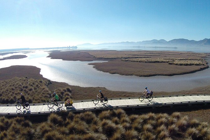 Nelson to Mapua: Full-Day Self-Guided Cycling Adventure - Key points to know before you book