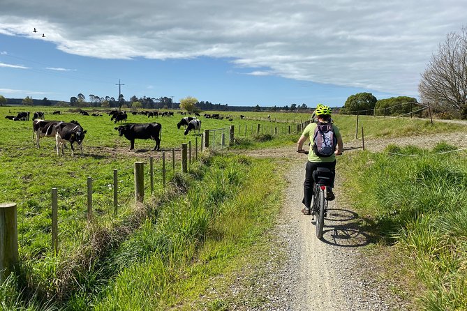 Nelson to Mapua: Full-Day Self-Guided Cycling Adventure - Lunch at The Grape Escape