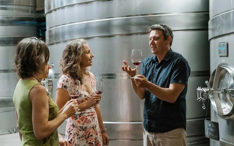 Nelson: Wine Tour with Tastings and Lunch - Why Nelson is worth a full wine day