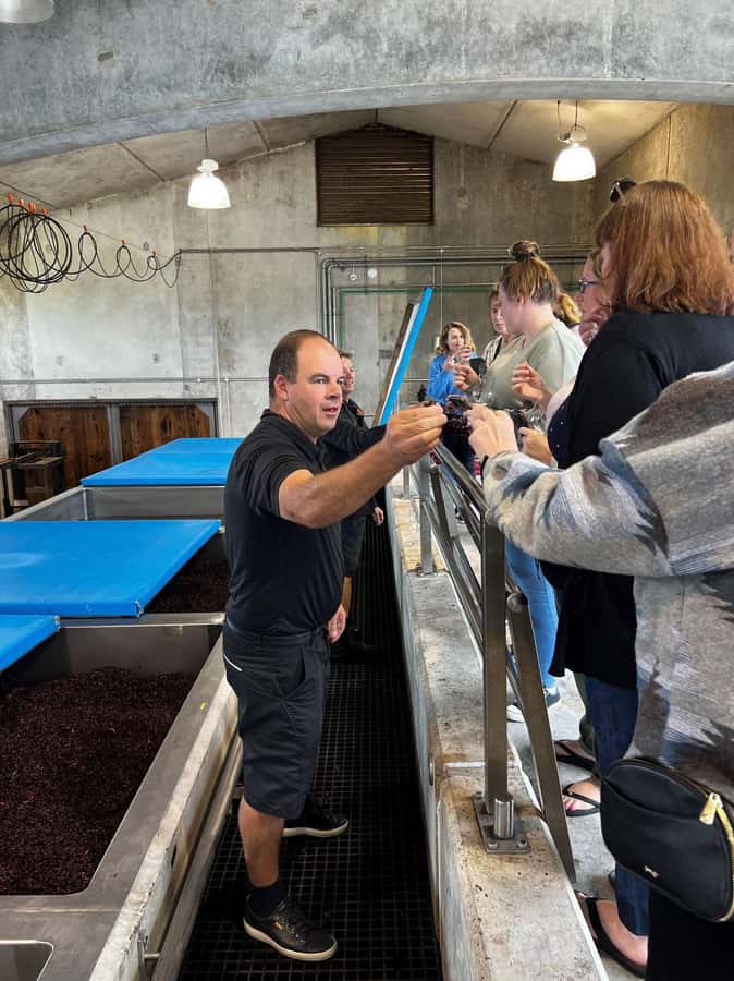 Nelson: Wine Tour with Tastings and Lunch - The final winery and the return to Nelson