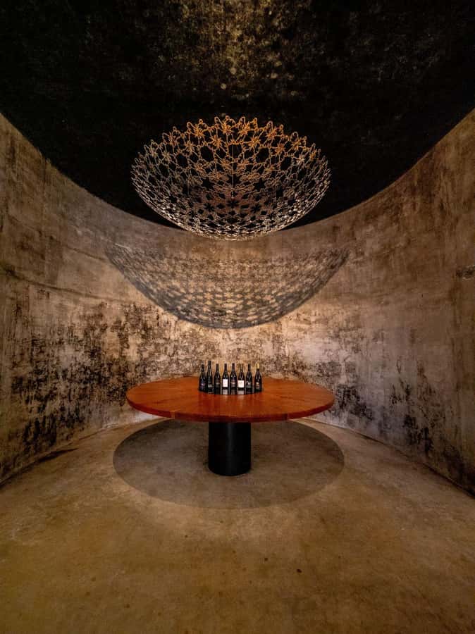 Nelson: Wine Tour with Tastings and Lunch - Who should book this wine tour?