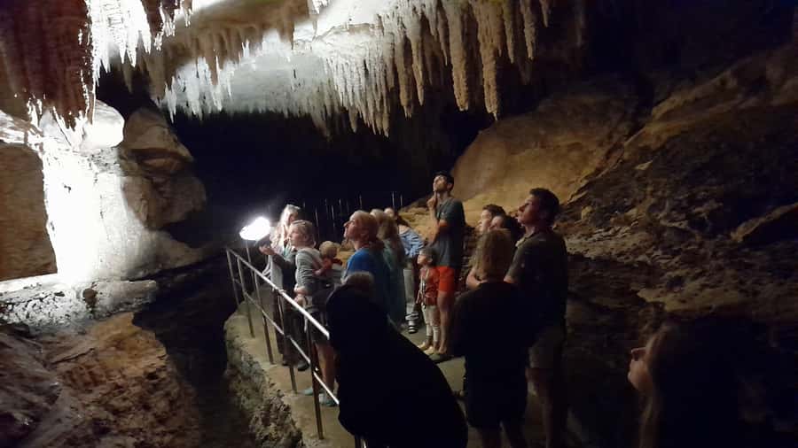 New Zealand: Milky Way Glowworm Cave Tour - Key points to know before you book