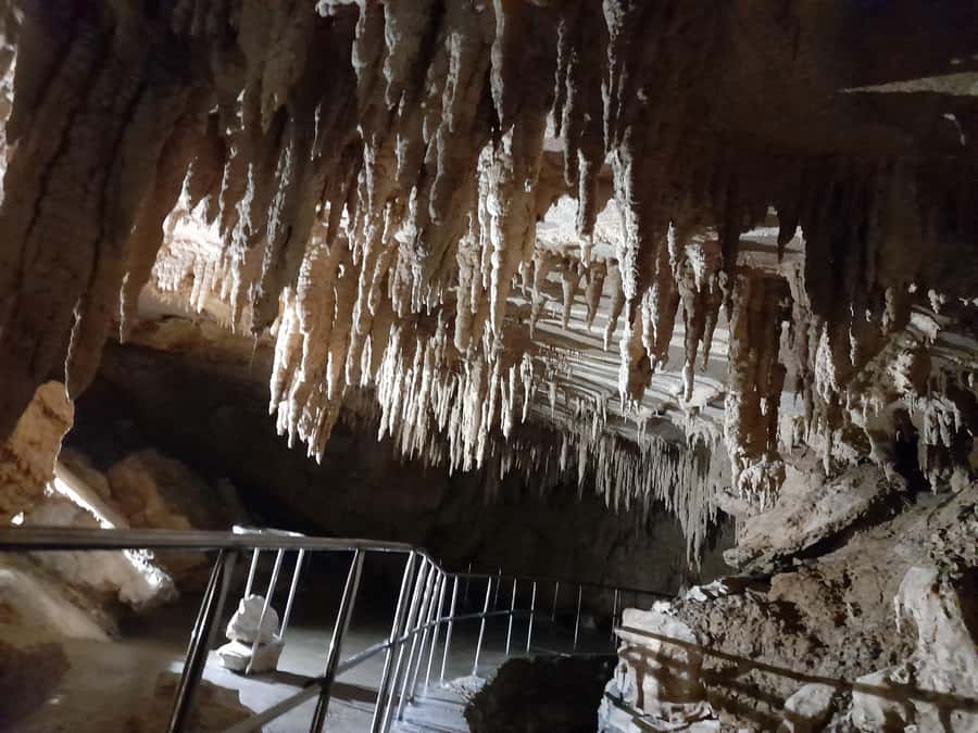 New Zealand: Milky Way Glowworm Cave Tour - Why the wider park changes the visit