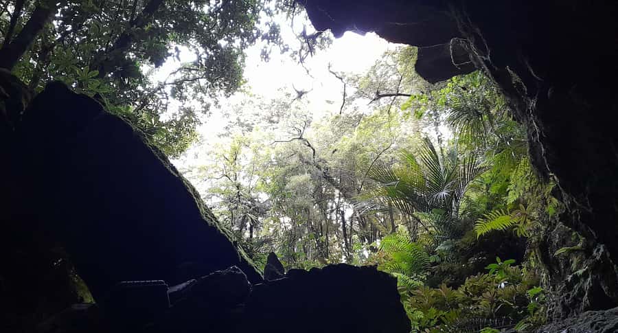 New Zealand: Milky Way Glowworm Cave Tour - Getting there from Auckland