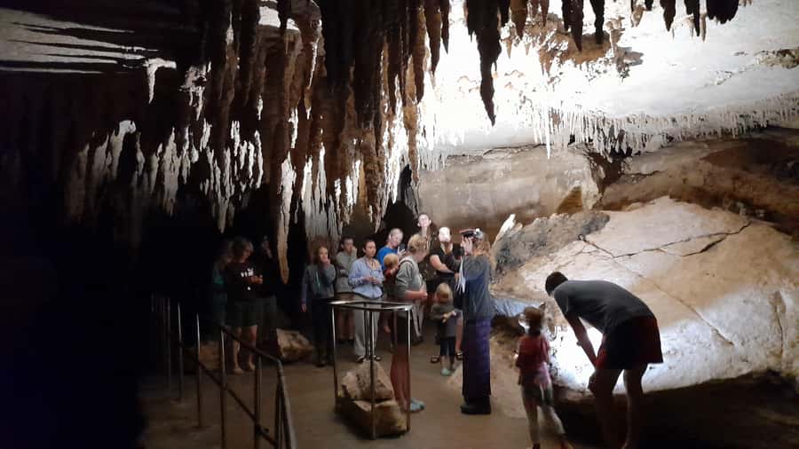 New Zealand: Milky Way Glowworm Cave Tour - Small details that make the visit easier