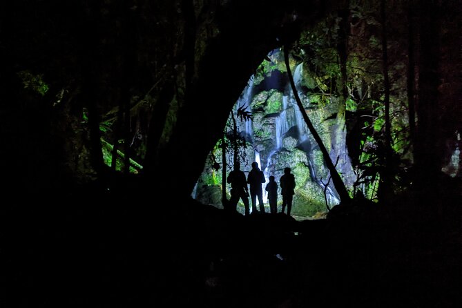 Nocturnal adventure Glow-worm tour - Meeting Stephen and leaving Rotorua