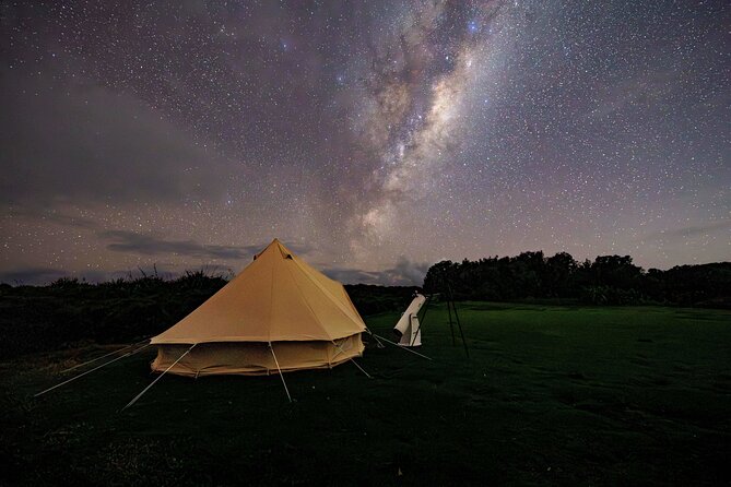 Nocturnal Wonders Tawharanui Kiwi Spotting and Stargazing Tour - The stargazing session under a dark sky