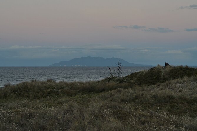 Nocturnal Wonders Tawharanui Kiwi Spotting and Stargazing Tour - Who will enjoy this experience most