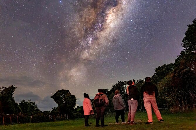 Nocturnal Wonders Tawharanui Kiwi Spotting and Stargazing Tour - Timing, weather, and what to plan for
