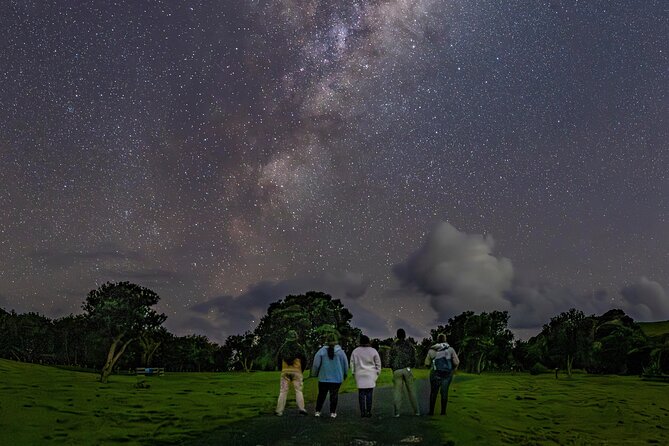 Nocturnal Wonders Tawharanui Kiwi Spotting and Stargazing Tour - What you might see after sunset