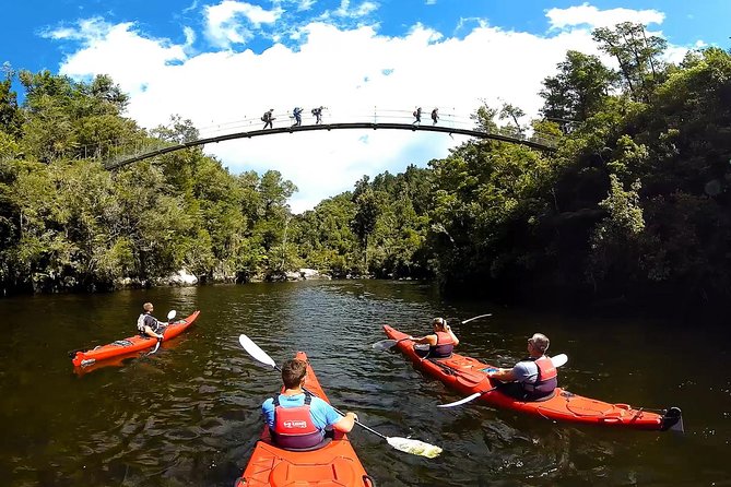 Oarsome Marine Reserve Kayak Tour - The water taxi is more than a ride home