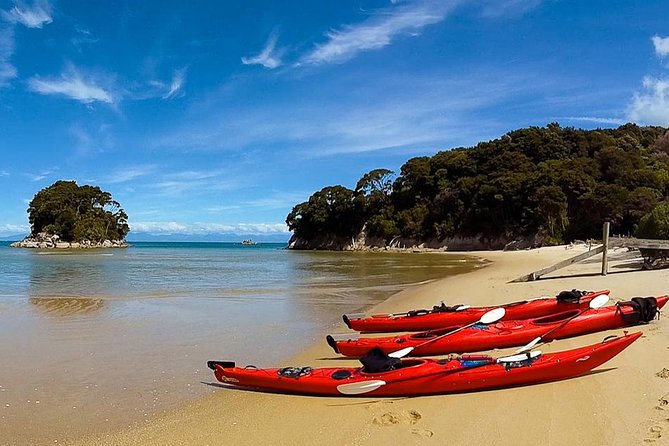 Oarsome Marine Reserve Kayak Tour - Meeting in Marahau at 8:30 am