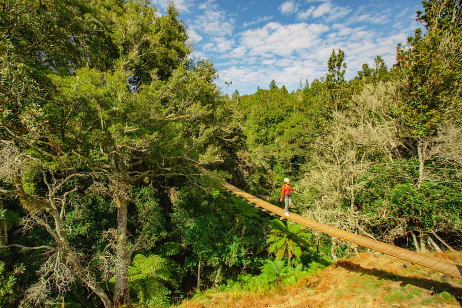 Okere Falls: Zipline over Waterfalls Experience - Rain, clothing, and comfort