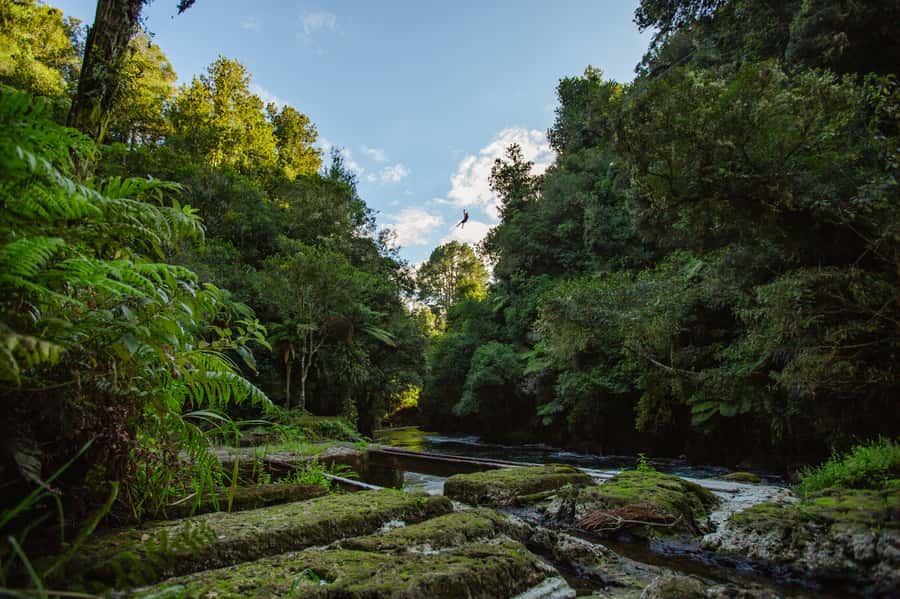 Okere Falls: Zipline over Waterfalls Experience - Getting fitted for the first zipline