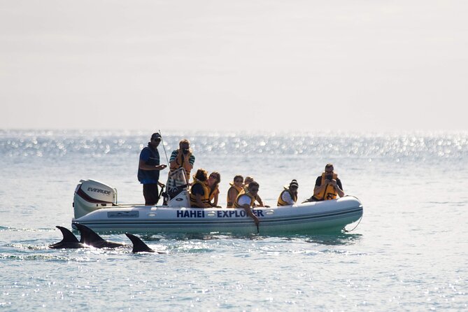 One Hour Cathedral Cove Boat Tour in Hahei - Key points for your Hahei boat ride