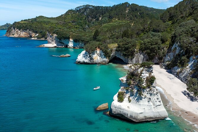 One Hour Cathedral Cove Boat Tour in Hahei - Why seeing Cathedral Cove by boat makes sense