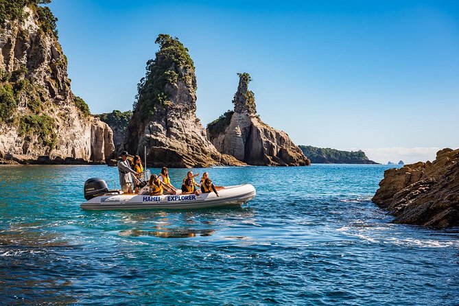 One Hour Cathedral Cove Boat Tour in Hahei - Te Whanganui-A-Hei Marine Reserve