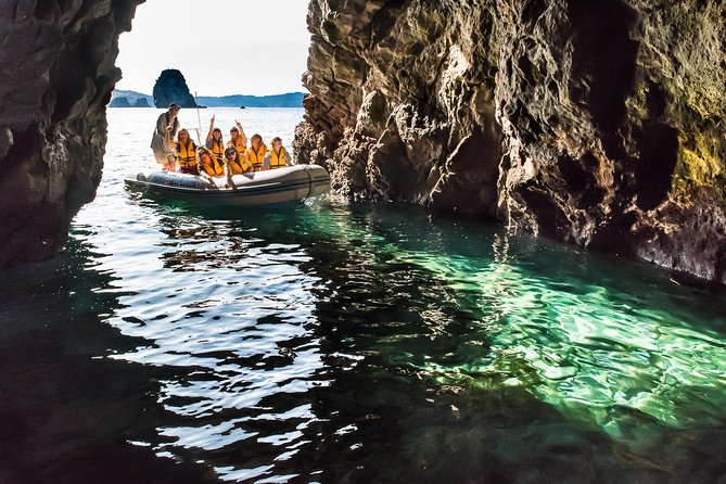 One Hour Cathedral Cove Boat Tour in Hahei - Weather, comfort, and what to bring