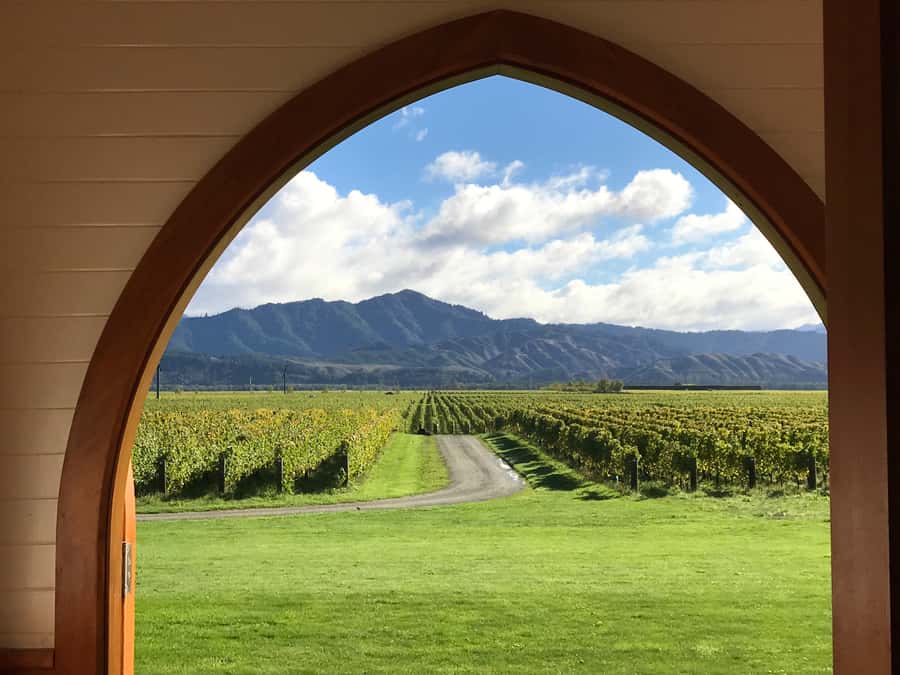 Onshore Highlights of Marlborough's Wine Region from Picton - Returning to Picton and the Victoria Domain view