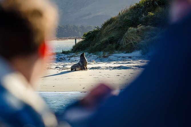 Otago Harbour Wildlife Cruise (Dunedin Shore Excursion) - Small-group sailing with practical comforts