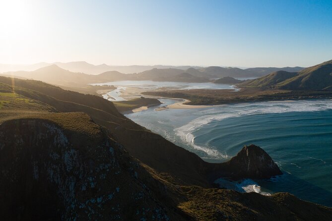 Otago Peninsula In-Depth Tour & Blue Penguins Pukekura Experience - Dunedin to Taiaroa Head, with the city as a prologue