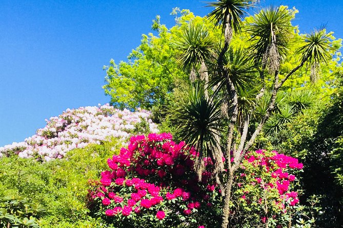 Otago Peninsula Scenery and Dunedin City Highlights Tour - The return by Portobello Road