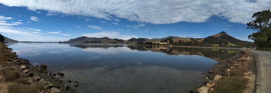 Otago Peninsula Scenery & Little Blue Penguin tour - Leaving the Octagon for Highcliff Road