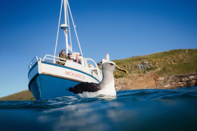 Otago Peninsula Wildlife Cruise with Monarch - The drive to Wellers Rock sets the scene