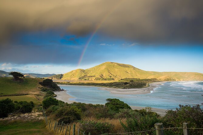 Otago Peninsula Wildlife Tour & Cruise - The MV Monarch cruise beyond Taiaroa Head