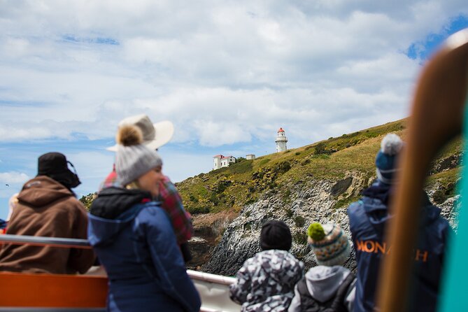 Otago Peninsula Wildlife Tour & Cruise - Price, group size, and what you actually receive