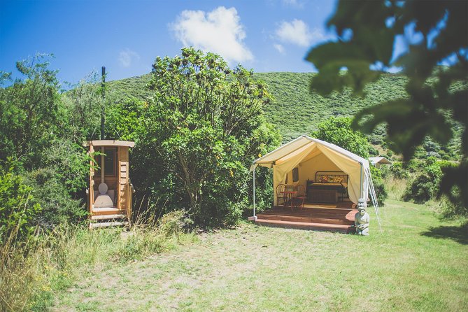Overnight Experience Tour on Kapiti Island - Day one: lunch, orientation, and your first island walk