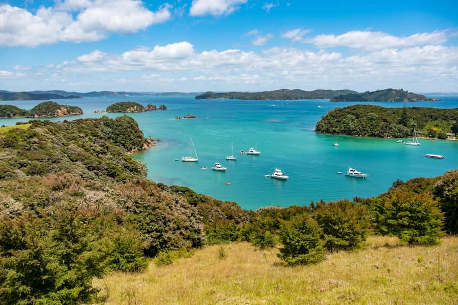 Paihia: Bay of Islands Dolphin Eco Cruise & Island Stopover - A long cruise with a useful break ashore
