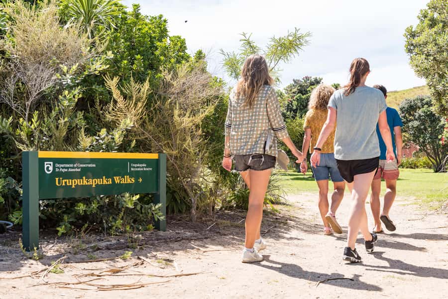 Paihia: Bay of Islands Dolphin Eco Cruise & Island Stopover - What to bring and how to use your time
