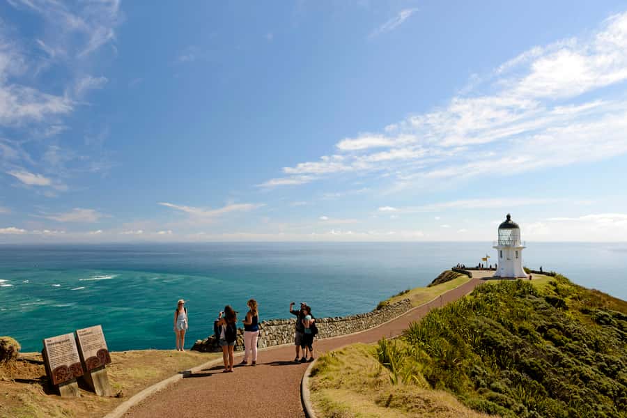 Paihia: Cape Reinga and Ninety Mile Beach Trip with Lunch - Key points to know before booking