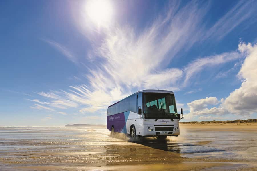 Paihia: Cape Reinga and Ninety Mile Beach Trip with Lunch - Ninety Mile Beach by purpose-built coach