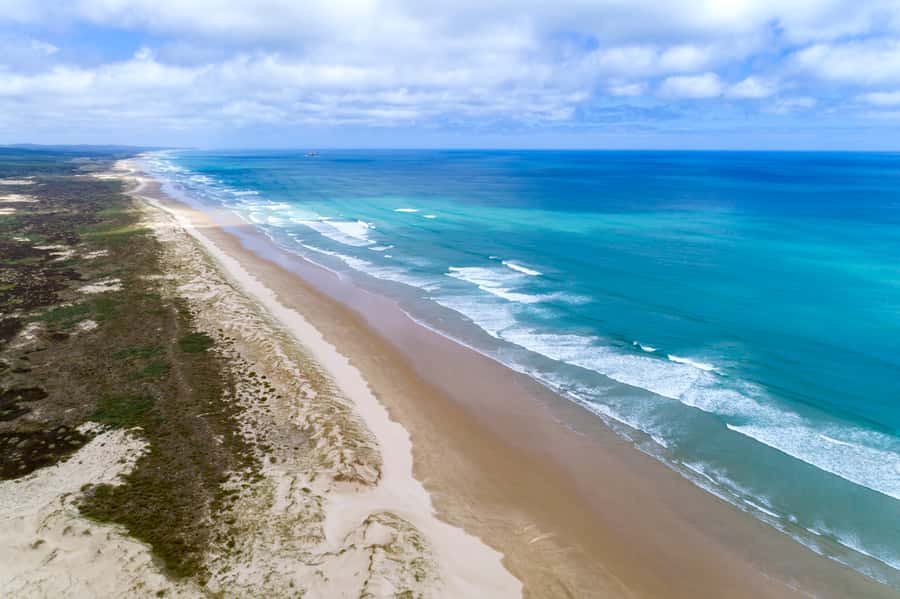 Paihia: Cape Reinga and Ninety Mile Beach Trip with Lunch - Sandboarding on the dunes