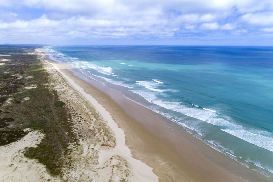 Paihia: Cape Reinga and Ninety Mile Beach Trip with Lunch - Lunch by the water, with a few caveats